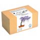  Bonsai cultivation kit Chinese wisteria