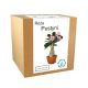  Set for growing Desert Rose Bonsai Baobab plants