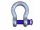 Shackle Shackle Omega 12T Screw bolt BW 12000kg
