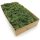 Decorative Moss 500g NORWEGIAN green reindeer moss