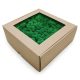 Decorative Moss 500 g GREEN moss, cleaned