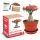  DESERT ROSE flower tree bonsai cultivation kit