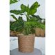  Flowerpot Kerd, 22 cm x 23.2 x 22 cm, diameter 23.2 cm, plastic in brown and beige tones