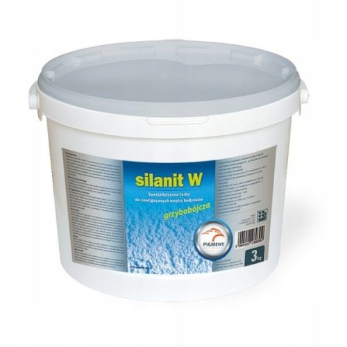 Acrylic Paint for Concrete Pigment 10 l