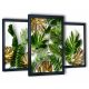 Tableaux au mur 3 tableaux dans le salon Tropical Monstera 2 130x63