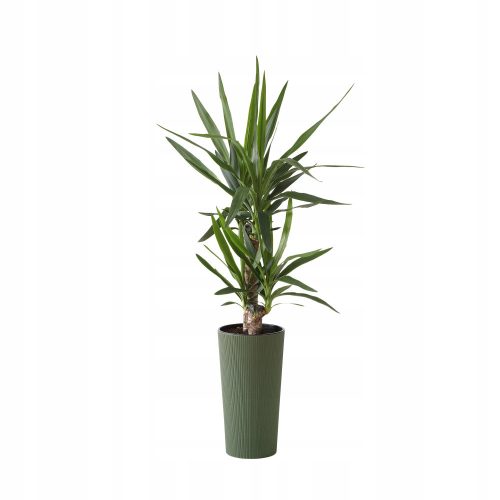  Lamela flowerpot, 46 cm x 25 x 46 cm, diameter 25 cm, plastic in shades of green