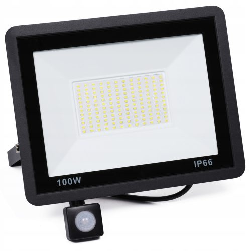 Halogens for outdoor and garden Halogen cold white 9500 lm 100.1 W