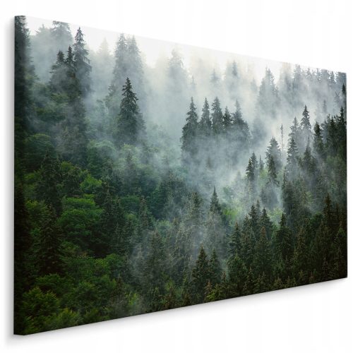  Tableau pour le salon forêt dans le brouillard PAYSAGE 3D 120x80