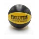  Evolution Medicine Ball 15 cm Multicolor