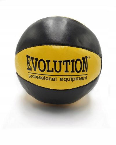  Evolution Medicine Ball 24 cm Multicolor