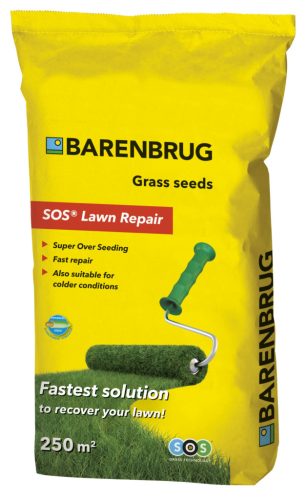  Barenbrug renovation grass 250 m² 5 kg