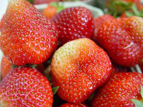  Wild strawberries and strawberries HONEOYE, KENT, PINEAPPLE, PANDORA, OSTARA seedling in a container 0.5-1l 15-20 cm