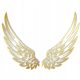 Pictures on the wall GOLDEN WINGS DECORATION 160cm x 115cm LARGE for the wall, BROUGHT THROUGH, SOLID