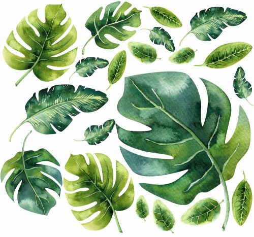  Wall sticker with Monstera leaves, 50 x 100 cm