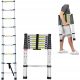 DayPlus Ladder 2.6 m Aluminium 9 to 150 kg