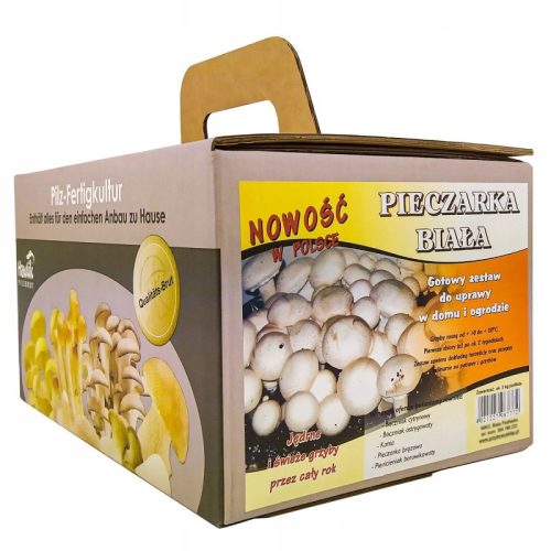  Niko cultivation kit for white mushrooms