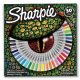  Set Sharpie Eye Permanentmarker 30-tlg.