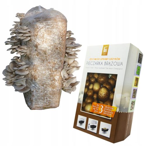 Mycelium of mushrooms BROWN MUSHROOM + OYSTER MUSIC 15 kg