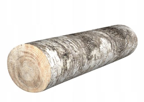  Coussin rouleau - bouleau Ø16x55 cm