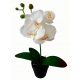 Artificial Flowers and Fruits ARTIFICIAL ORCHID Orchid Flower ORCHID 38cm