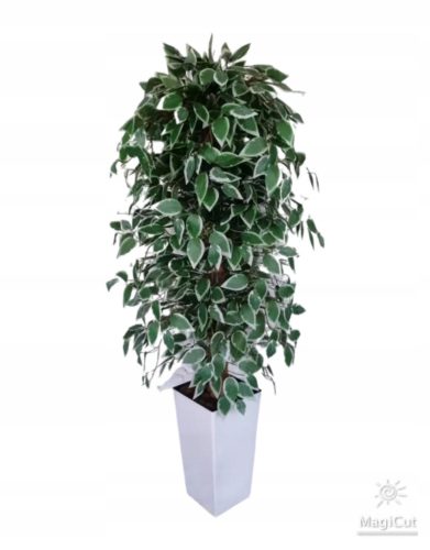 Artificial Flowers and Fruits Artificial Ficus Benjamina Tree in a White Pot