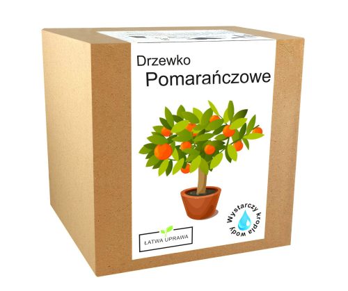  orange tree growing kit