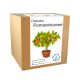  orange tree growing kit