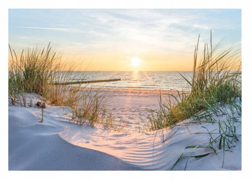 Photo wallpaper FOR THE LIVING ROOM 3D Beach Sea Dunes 368x254