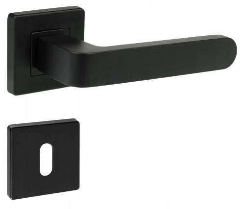 AnQ inside handle short, square plate, plate with toilet lock, plate with keyhole, plate with hole for an insert