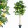 Artificial Flowers and Fruits Artificial Lemon Fruit Tree 184 cm