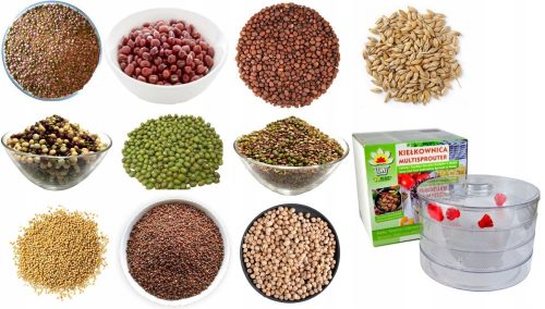  Plant Mix Normal Seeds 500 g