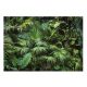 Photo wallpaper DARK JUNGLE Tropical Forest 368x254