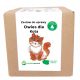  Oat Growing Kit for Cats