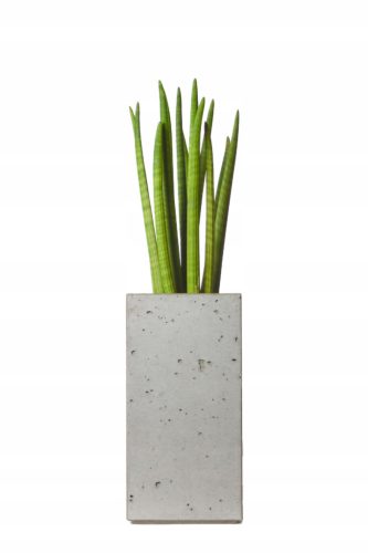 Pots and Planters for Outdoor and Garden Cover 50 x 25 cm Grey Concrete