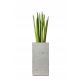 Pots and Planters for Outdoor and Garden Cover 50 x 25 cm Grey Concrete