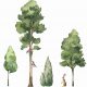  Very large XXL wall stickers trees, forest 2