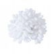  Window cleaning attachment for Transa Electronics steam mop white