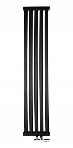 Regnis 450 W black decorative radiator