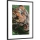 Picture frame Frame for a photo Fabryka Ramek 25 x 38 cm