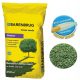  Decorative grass, grass mixture, for shady areas, garden, renovation Barenbrug 250 m² 5 kg