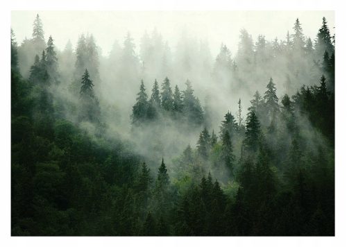 WASHABLE photo wallpaper Forest in the fog, laminated, 368 x 280