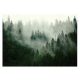 WASHABLE Forest in the Fog LAMINATED Photo Wallpaper 460x300