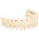  IMPLANTS ARTIFICIAL TEETH PLASTIC PROSTHETIC TEETH