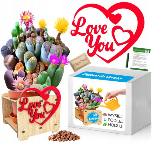 Cool, fun gadgets set for growing living Valentine's Day stones