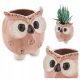 Pots and Planters for Outdoor and Garden Cover 10 x 8.5 cm Ceramic Pink