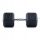  HEX DUMBBELL rubberized hexagonal 27.5 kg DUMBBELL