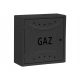 Lamsan G63 graphite gas cabinet 60x60x25 cm