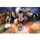  Puzzle Trefl Harry Potter 300 pieces Puzzle 300 Mysterious Harry Potter TREFL 23001