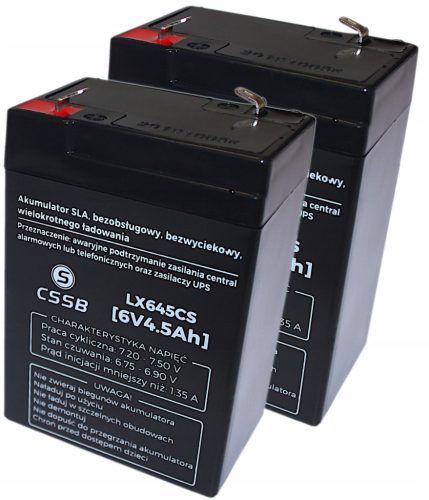  Biaks AGM 6V 4.5Ah VRLA batteries, 2 pieces