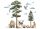 Decorative Wall Stickers Wall Stickers FOREST ANIMALS, Teddy Bears, Owls XL